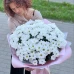Букет из 151 ромашки в красивой упаковке