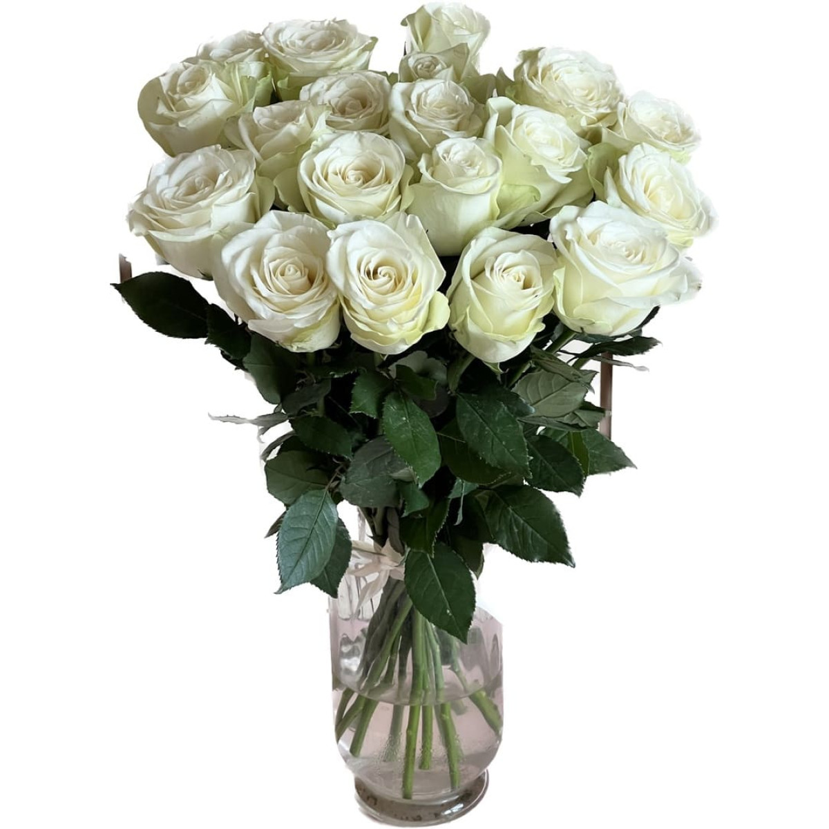 17 белых роз Эквадор с лентой