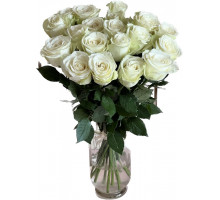 17 белых роз Эквадор с лентой