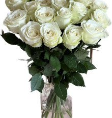 17 белых роз Эквадор с лентой