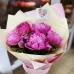Пионы отличный подарок на любой повод 