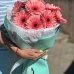 Букет из 9 гербер "Котик"