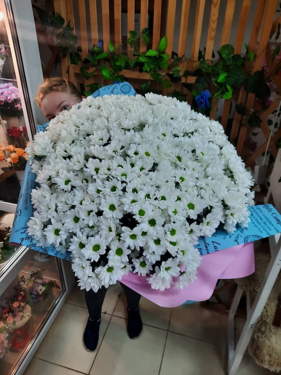 501 ромашка в упаковке 