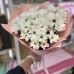 51 ромашка в упаковке