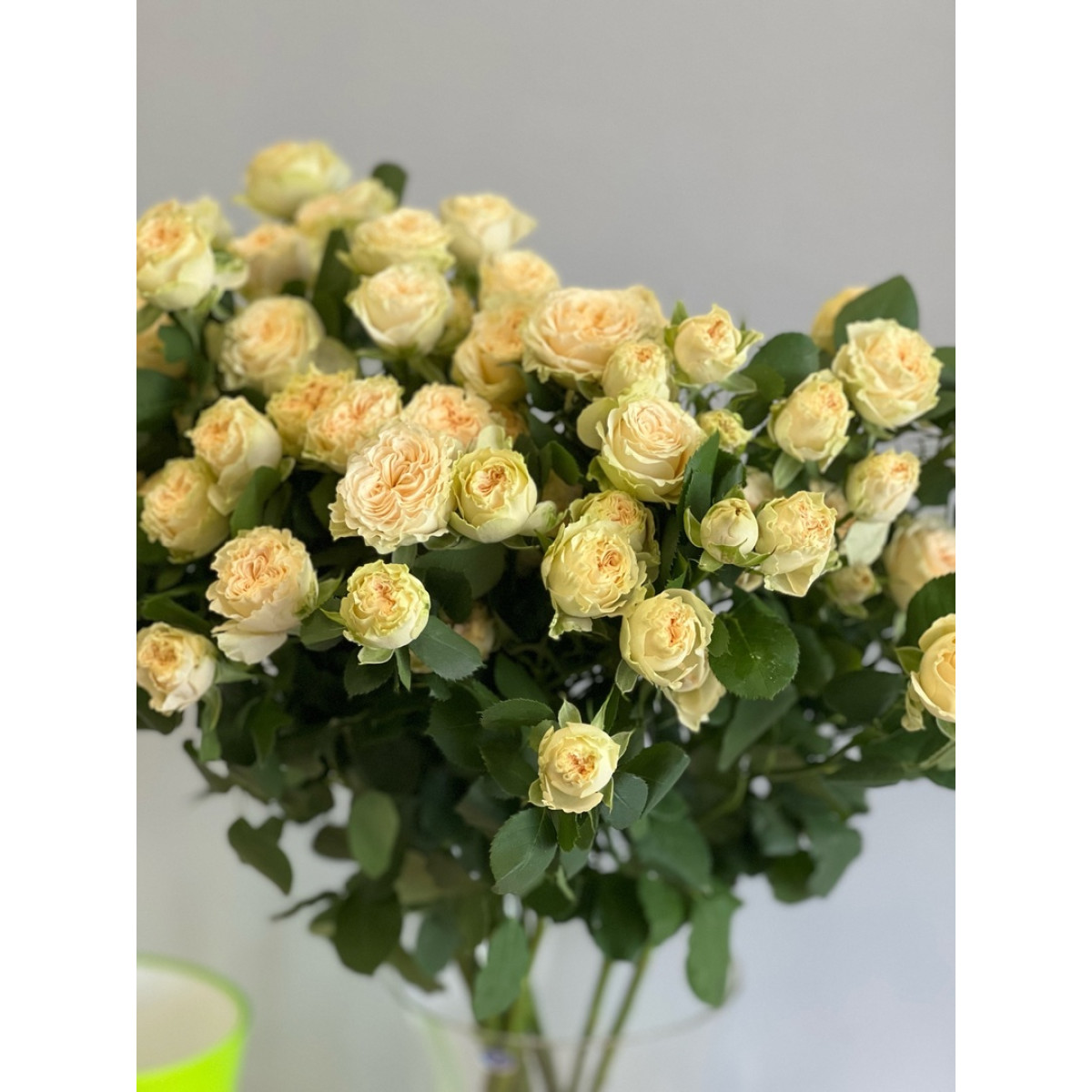 Кустовая пионовидная роза Саммер роуз 