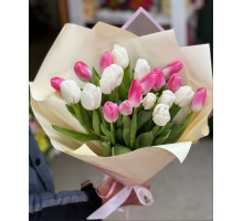 21 бело-розовый тюльпан в упаковке