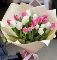 21 бело-розовый тюльпан в упаковке