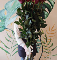 Роза Эквадор 90-100 см