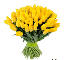 101 желтый тюльпан