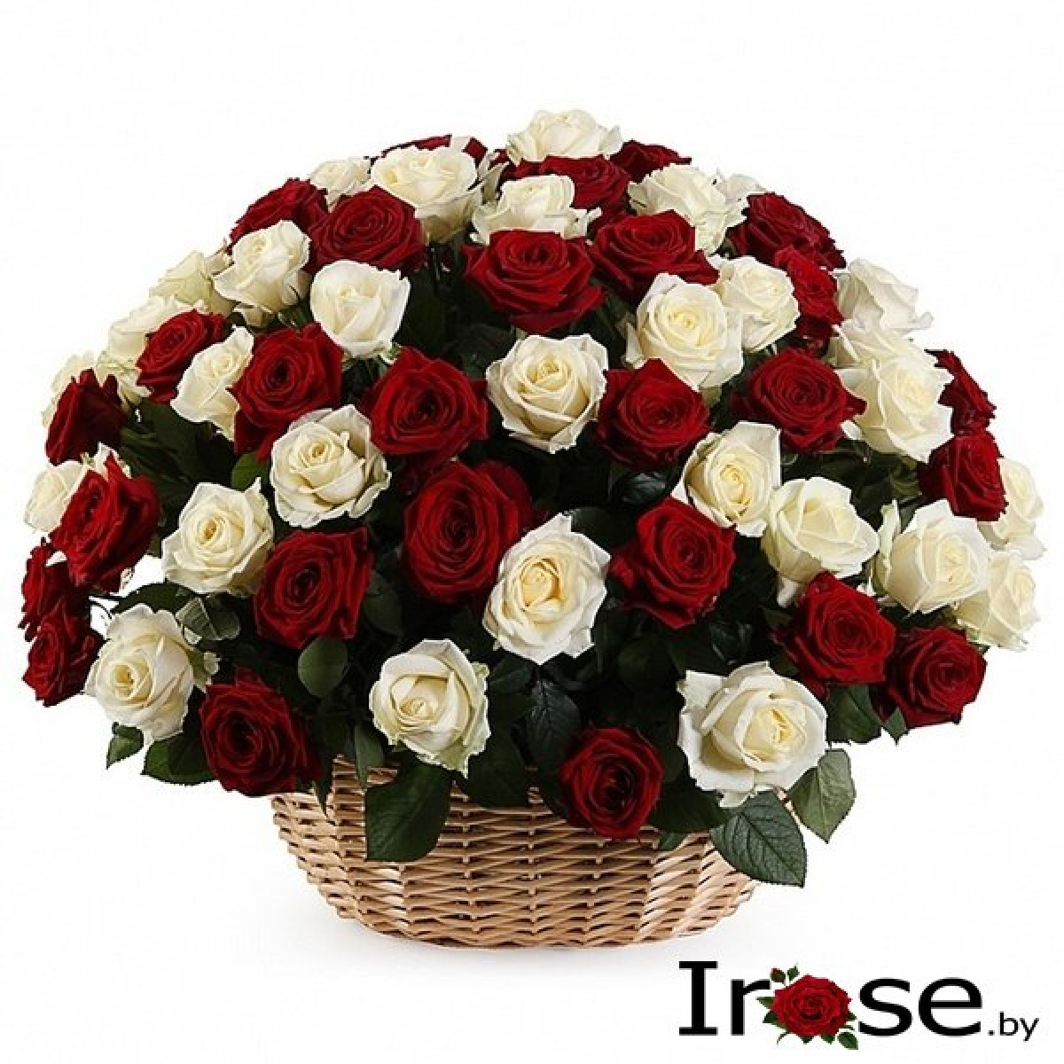Корзинка 101 красная роза Родос и белых Атена