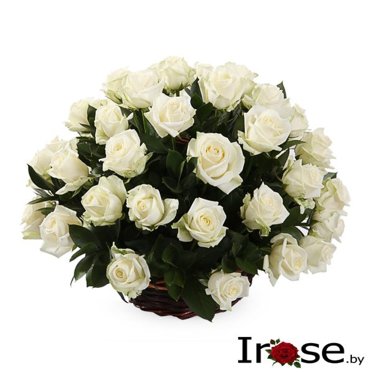 Корзина и 51 белая роза Атена