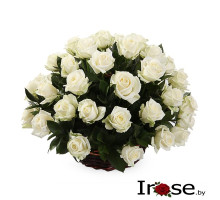 Корзина и 51 белая роза Атена