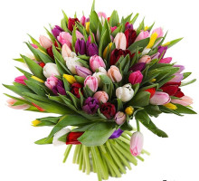 101 разноцветный тюльпан