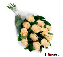 Букет 11 роз "Камилия"