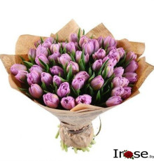 51 лавандовый тюльпан