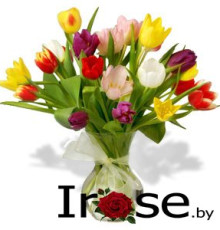 21 тюльпан микс