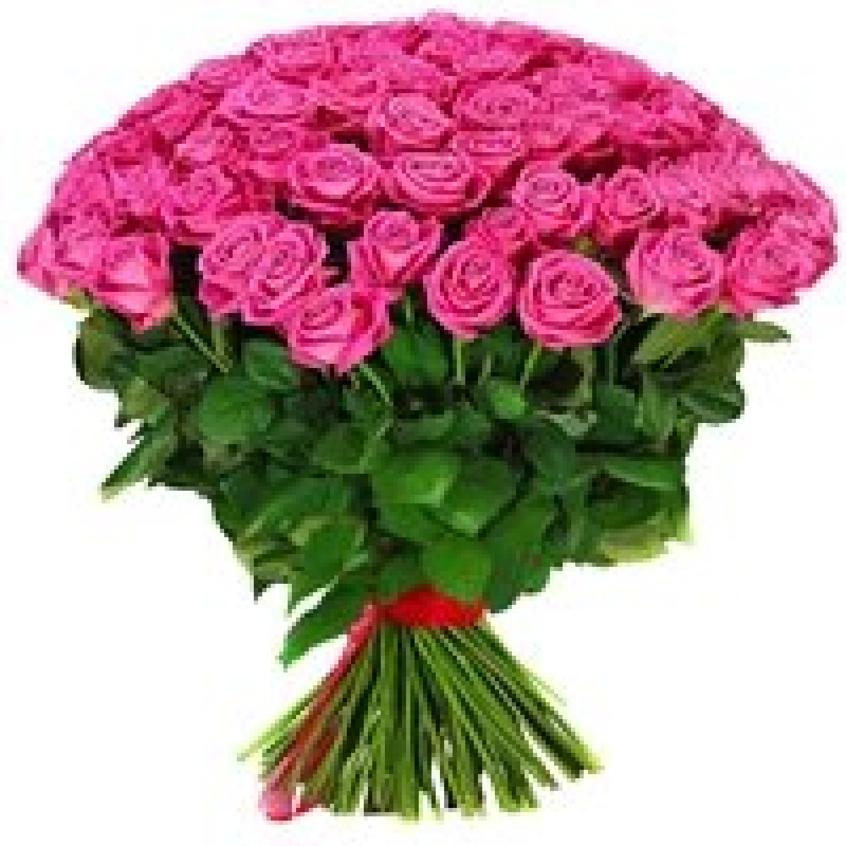 85 розовых роз "Счастливая любовь"
