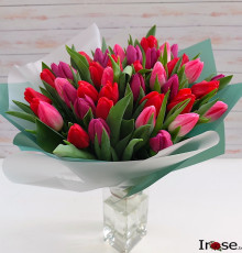 45 красных тюльпанов "Шарко"