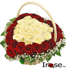 Корзинка и 51 красная и белая роза