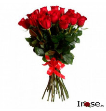 15 красных роз Эквадор с лентой