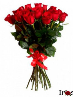 Букет 15 красных роз Эквадор с лентой