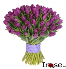 51 сиреневый тюльпан с лентой