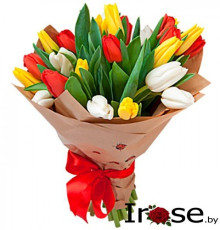 25 тюльпанов "Весенний цветок"