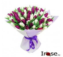 Букет "Микс" из фиолетово-светлых 51  тюльпанов