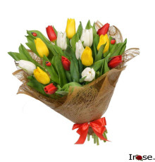 15 тюльпанов "Класик"