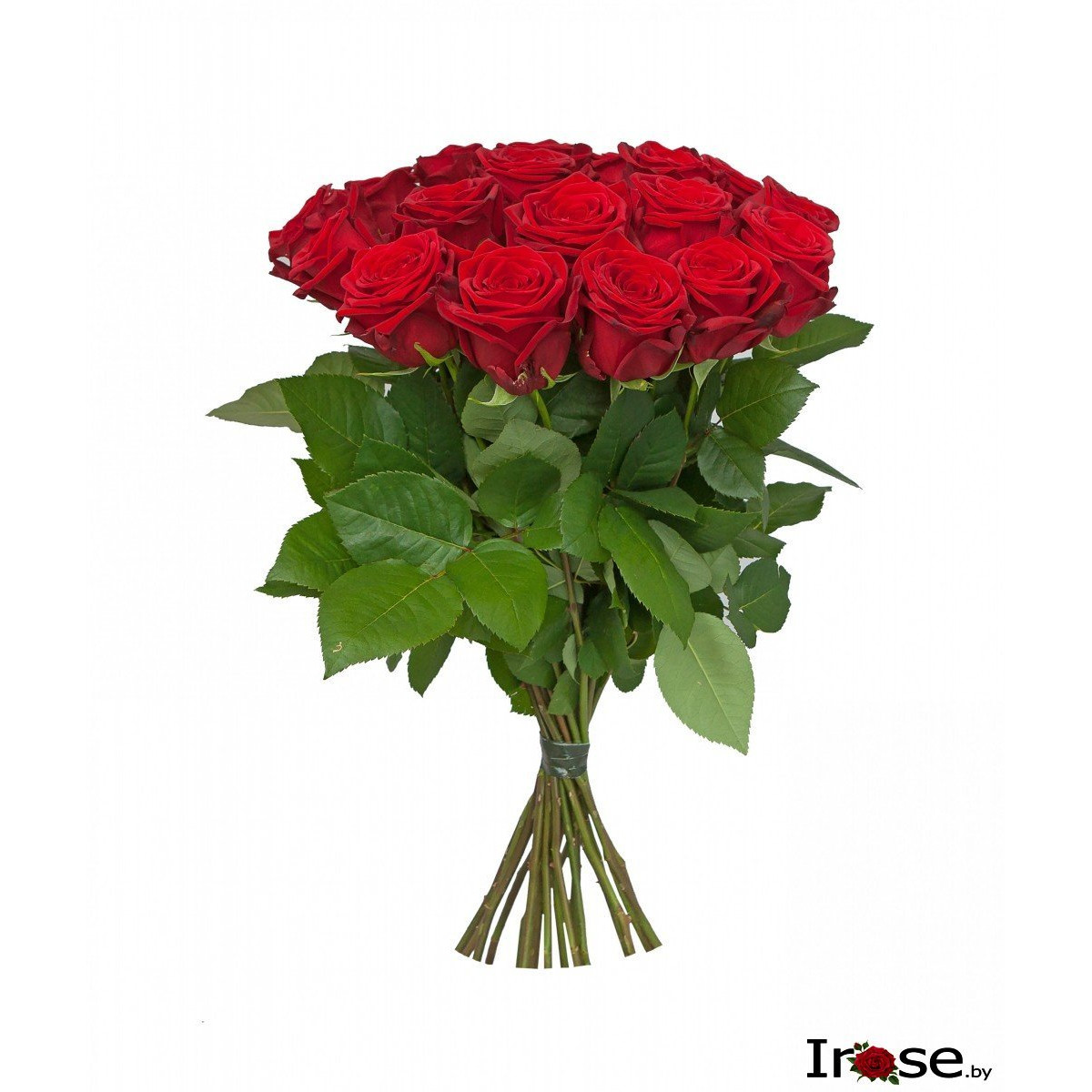 21 белорусская роза 50 см
