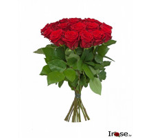 21 белорусская роза 50 см
