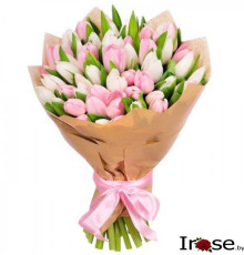 51 тюльпан из 2-ух цветов