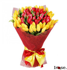 65 тюльпанов "Капричёза"