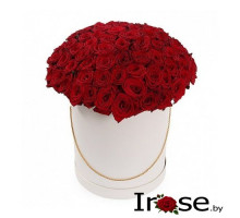 Коробочка из 101 красной розы Родос