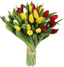 25 тюльпанов микс