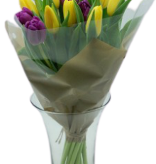 15 тюльпанов Микс в целофане