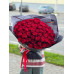 71 бордовая роза с стильной черной упаковкой