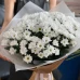 151 ромашка с упаковкой