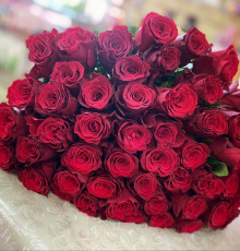 31 красная голландская роза