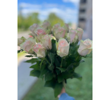 15 розовых роз Пинк- Атена с атласной лентой