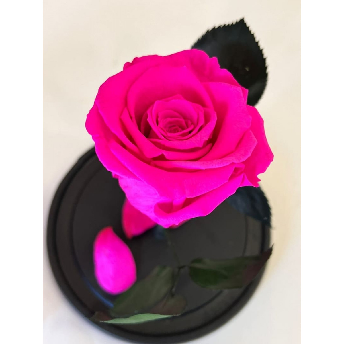 Роза в колбе розовая