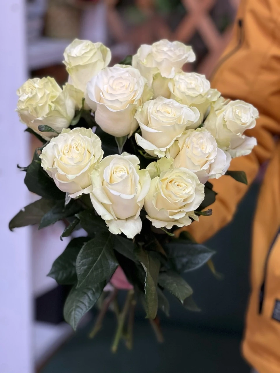 Букет 11 белых роз Эквадор