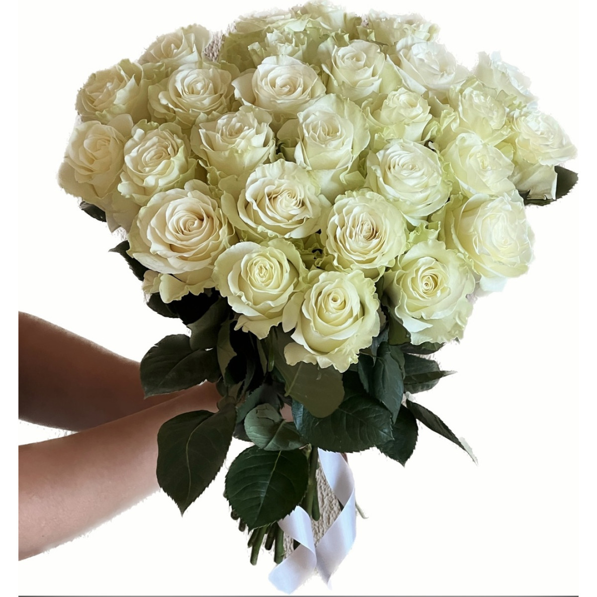 БУКЕТ 25 белых роз Эквадор