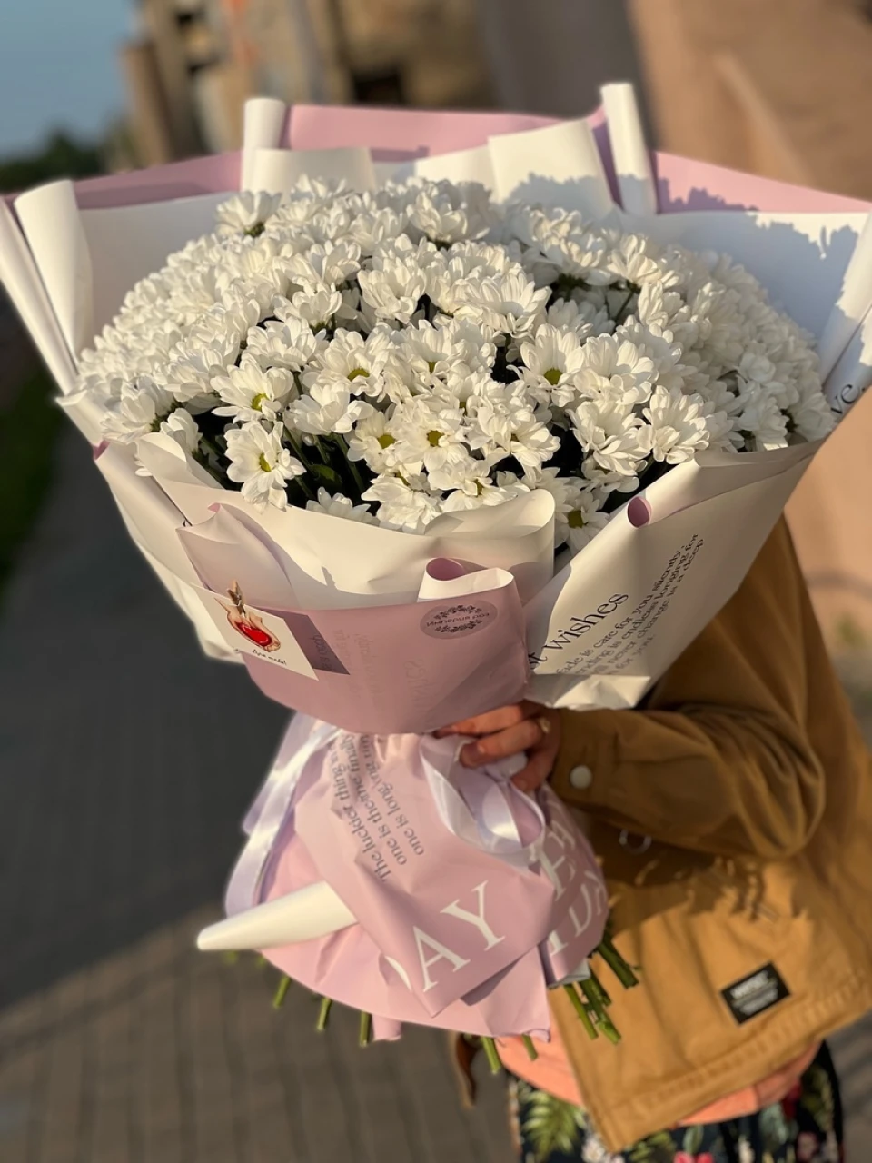 301 ромашка в упаковке Луиза